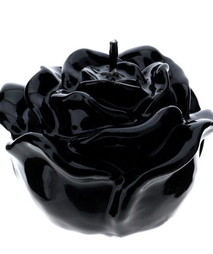 Hervit - Candela Rosa 12x8 - Nera
